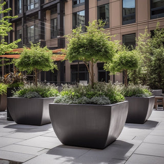 Planting Ideas for Large-Scale GFRC and Metal Planters: Choosing by Climate - Modofire