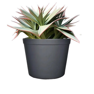 Executive Round Planter / Water Pot - Concrete (GFRC) - Modofire