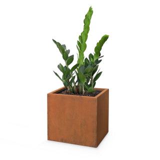 Moderna Square Planter - Corten Steel - Modofire