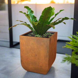 Tucson Rectangle Planter - Corten Steel - Modofire