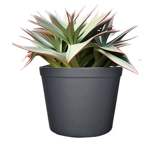 executive-round-planter-pot