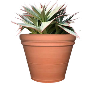 italian-double-rim-planter-pot