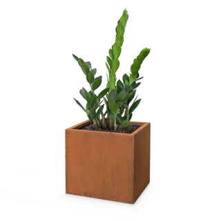 moderna-planter-square-corten-steel
